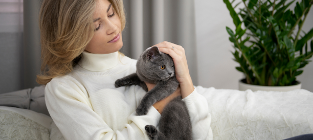 Top Cat Grooming Services and Cat Groomers in West Palm Beach